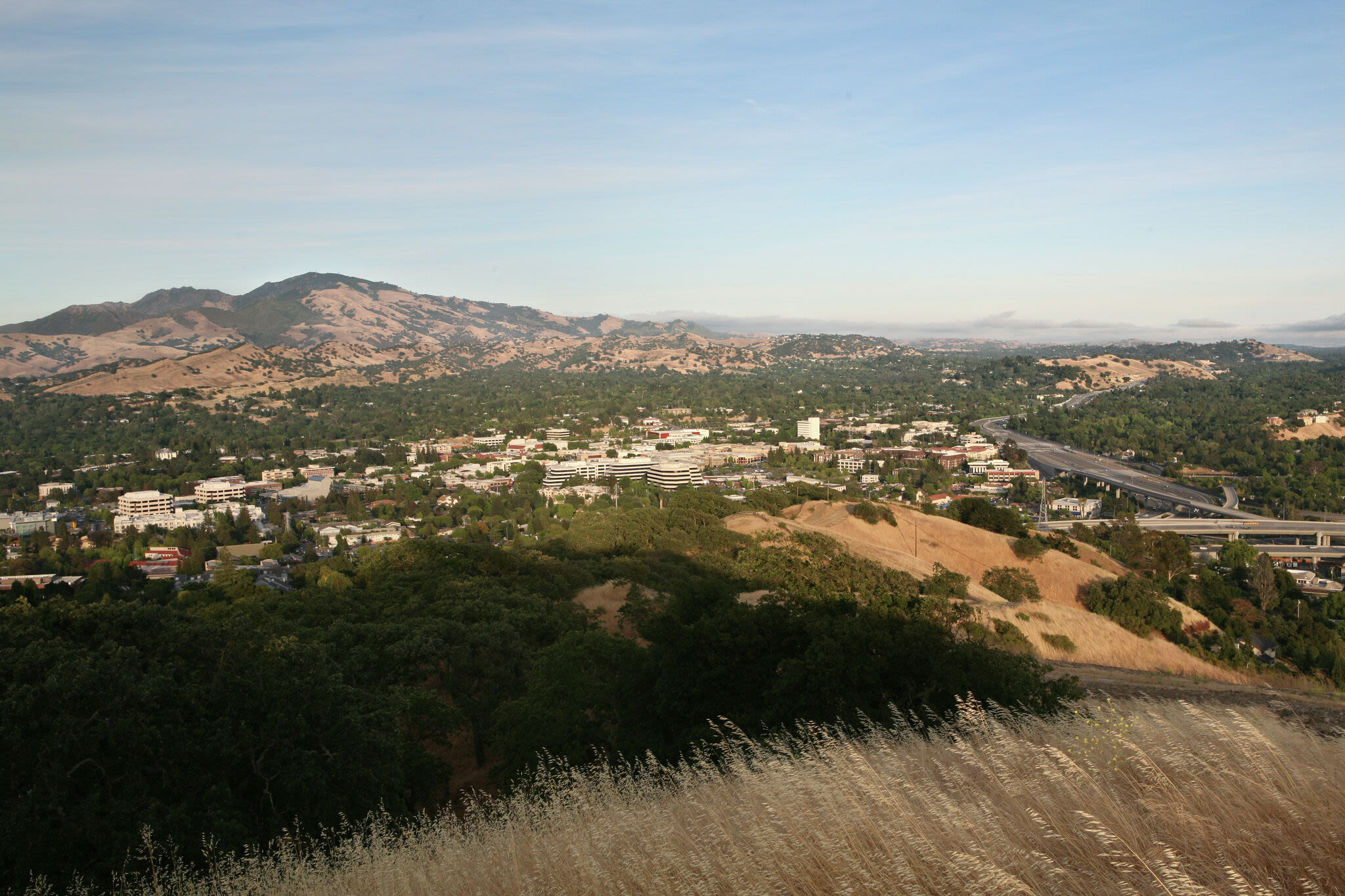 Rattlesnake warning issued for popular Bay Area parks