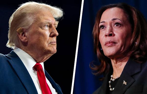 '78-year-old criminal': Harris campaign 'in fight mode' against Trump