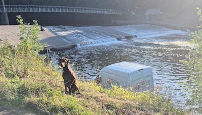 Delivery van stolen overnight and dumped in river