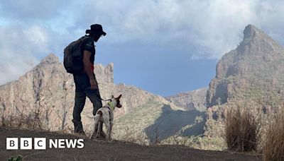 Jay Slater search teams scour massive area of caves, ravines and towering volcanic cliffs