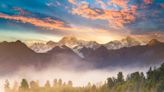 Stride of New Zealand: ancient ‘walking tree’ wins tree of the year | 700WLW | Mike McConnell