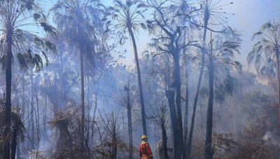 Equipes de bombeiros do PR e GO reforçam trabalho de combate às chamas no Pantanal