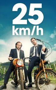 25 km/h