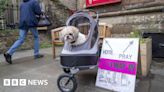 Scottish party leaders cast votes as public go to the polls