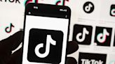 TikTok sues U.S. to block law that could ban the social media platform | Texarkana Gazette