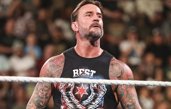 CM Punk Comments On AJ Lee Potentially Returning To WWE