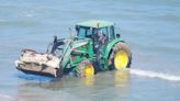 Aparece un animal sin cabeza en la playa de Torrenostra