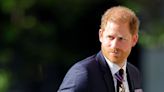 Prince Harry 'a distraction' as every appearance just a 'soap opera'