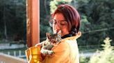 Most cat owners know very little about their feline friends: poll