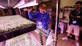 Dubuque students design, install sustainable microgreen system for conference center