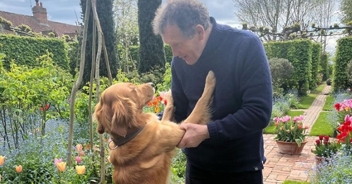 Monty Don leaves fans gushing over adorable pic after update on dog's sad death