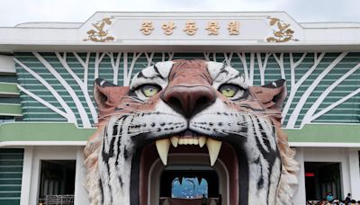 Inside world’s worst zoo in North Korea where tigers & bears fight to death