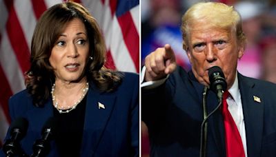 How long will the Kamala Harris honeymoon in the polls against Donald Trump last?