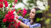 Gardening jobs for June - including when to water and how to take cuttings