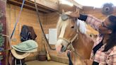 Girlhood dream fulfilled with horseback riding lesson; you can, too: Summer Camp for Grown-Ups