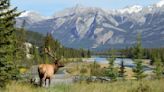 Magazine names Jasper one of the best places to visit in Canada | News