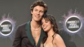 Fans Are Convinced Camila Cabello's New Song Is About Shawn Mendes