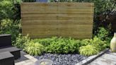 How to Make a Rain Garden