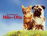 The Adventures of Milo and Otis