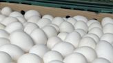 雞蛋難賣！農業部邀產銷代表開會 蛋價是否再降明拍板