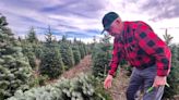 Decades in the tree farm business haven't dulled Reid's passion for this time of year