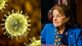 U.S. senator Dianne Feinstein suffered shingles complications: What you need to know