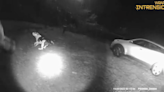 Partial bodycam footage of Henderson County deputy fatal foster dog shooting released