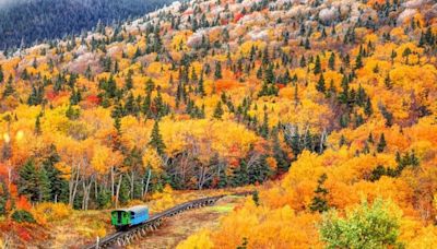 The Top 8 U.S. Spots For Leaf Peeping In 2024—According To Priceline