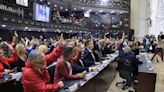 Asamblea Nacional pide retirar invitación a la UE para observación de presidenciales