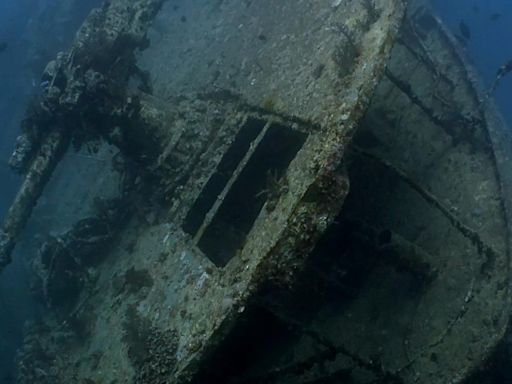 Leaking shipwrecks pose threats, marine biologist warns