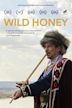 Wild Honey