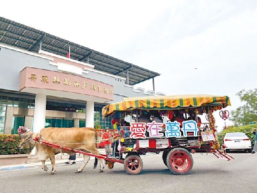 520此生龍愛你 萬丹辦牛車迎親 - 地方新聞