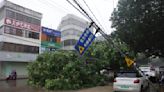 Classes are canceled and public transport is halted as Typhoon Talim slams into southern China