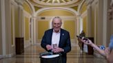 Senate won for Democrats, 'It's the year of Chuck Schumer'