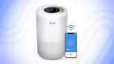 These Are the Best Air Purifiers for Removing Pollutants from Your Home