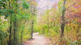 A hiker's path: A day on the marshes at Patoka River Wildlife Refuge