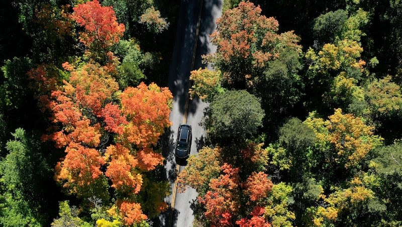 The leaves are beginning to change in Utah. What are the best drives to see fall colors?