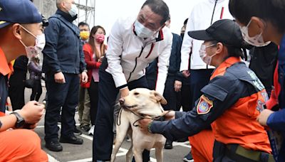 新北搜救犬「木蘭」罹癌過世 侯友宜不捨：任務結束、以你為傲