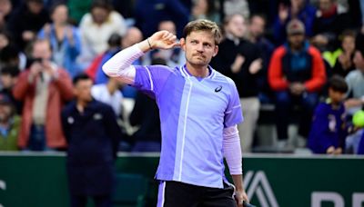 Goffin slams rowdy French fans for going 'too far'