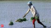 Economic Survey 2023-24: Agricultural credit saw 1.5X jump in FY24 - The Economic Times