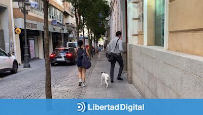 David Sánchez llegó a la Diputación de Badajoz en pleno registro de la UCO: entrada apresurada y salida por otra puerta