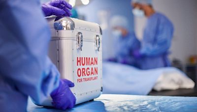 Over 15,436 live organ donations in 2023, women donors surpass men