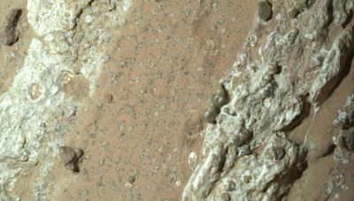 NASA's Mars Rover Makes Stunning Discovery Hinting At Ancient Martian Life