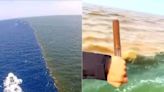 Video Captures Stunning View Of Two Ocean Water Bodies Not Mixing - News18