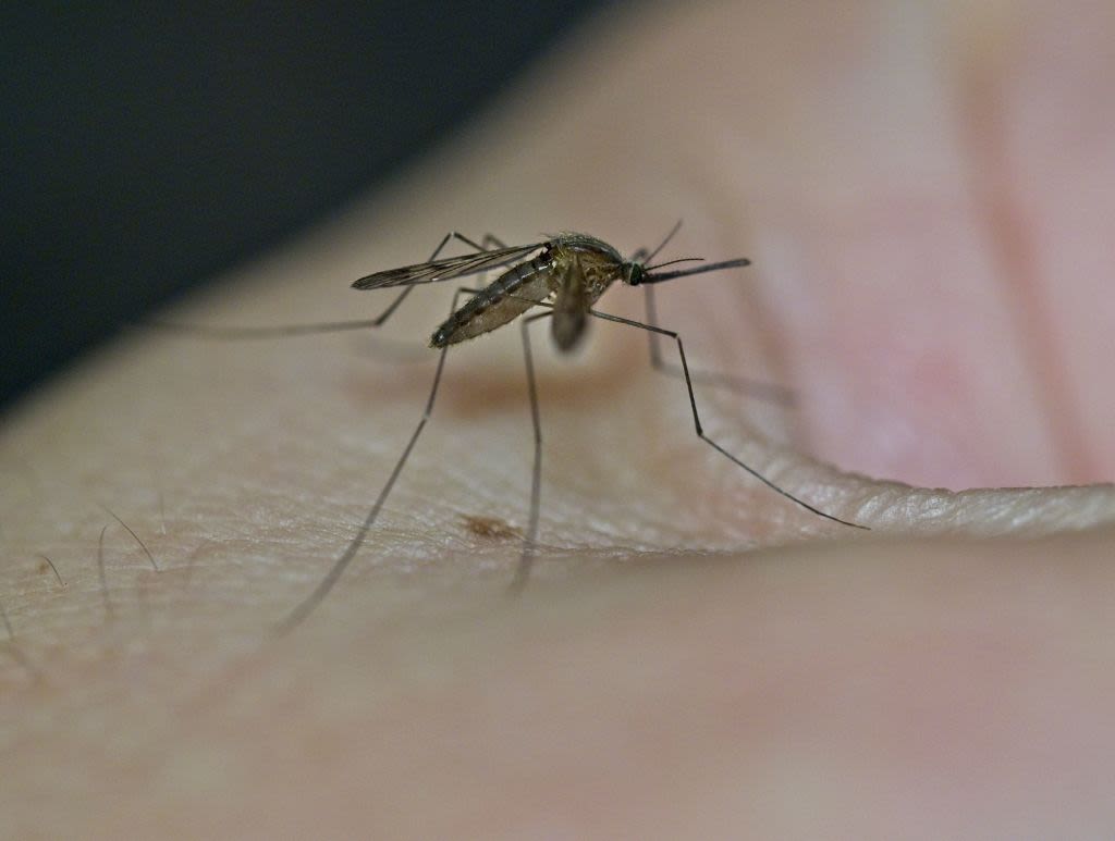 U.S. Health Officials Warn of West Nile Virus