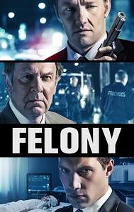 Felony (film)