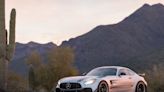 Cascio Motors Is Selling A Top-Spec Mercedes AMG GT-R Pro At No Reserve on Bring a Trailer