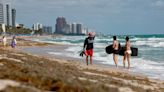 The Great Atlantic Sargassum Belt is carrying a massive bloom of brown seaweed toward Florida and the Caribbean