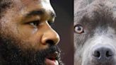 NFL | Un jugador de los Kansas City Chiefs comete el acto más inhumano con dos perros