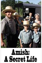 Amish: A Secret Life (2012) - DVD PLANET STORE